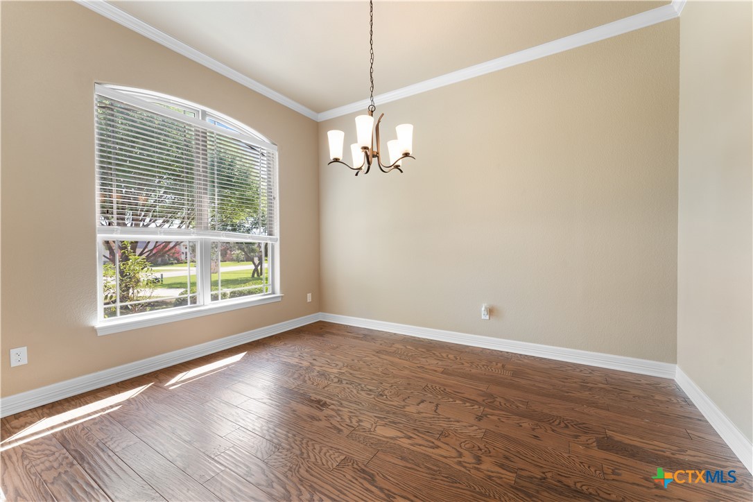 11717 Caleigh Anne Drive Property Photo 8