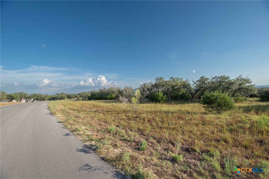 1545 Lake Ridge Boulevard Property Photo 2