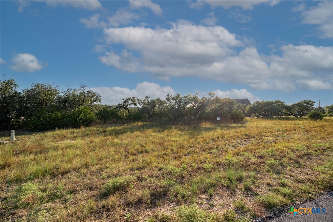 1545 Lake Ridge Boulevard Property Photo 4