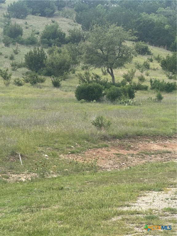 3013 Cottonwood Mesa Drive Property Photo 1