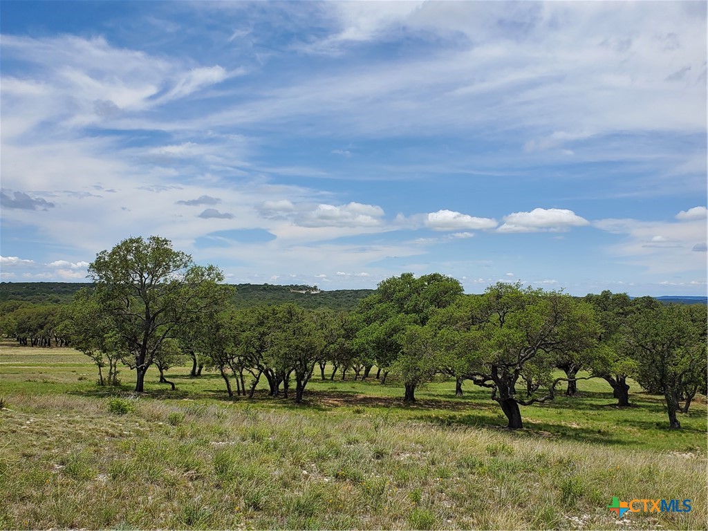 974 Blackbuck Ridge Drive Property Photo 1