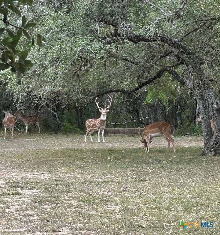 305 Cr 305 Property Photo 1