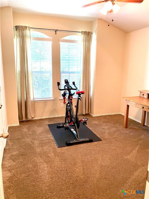 5225 Sandstone Drive Property Photo 29