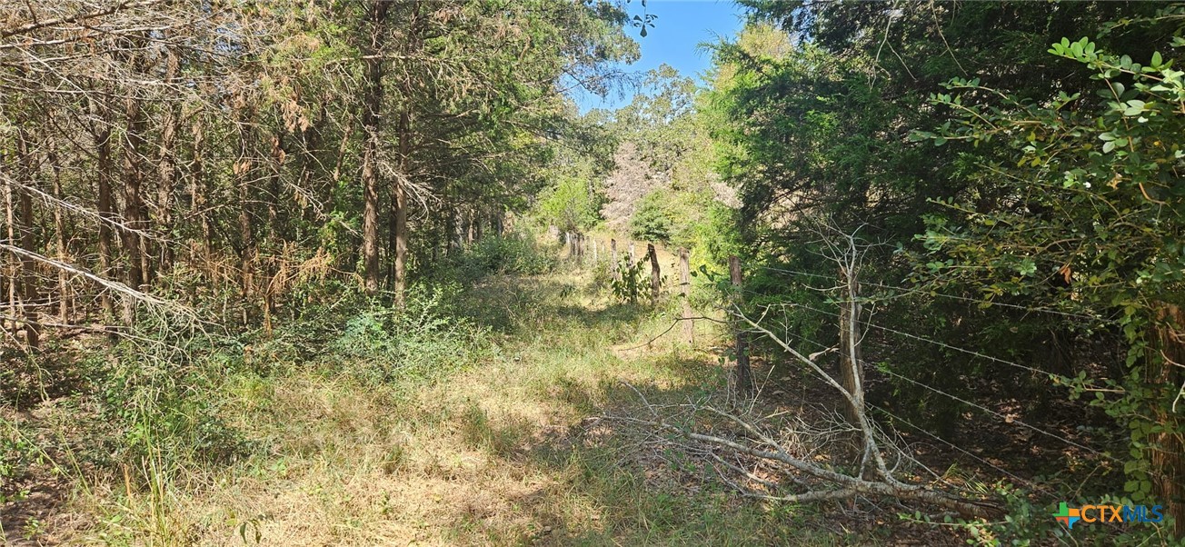 Tbd County Road 342 Property Photo 4