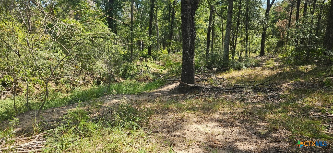 Tbd County Road 342 Property Photo 5
