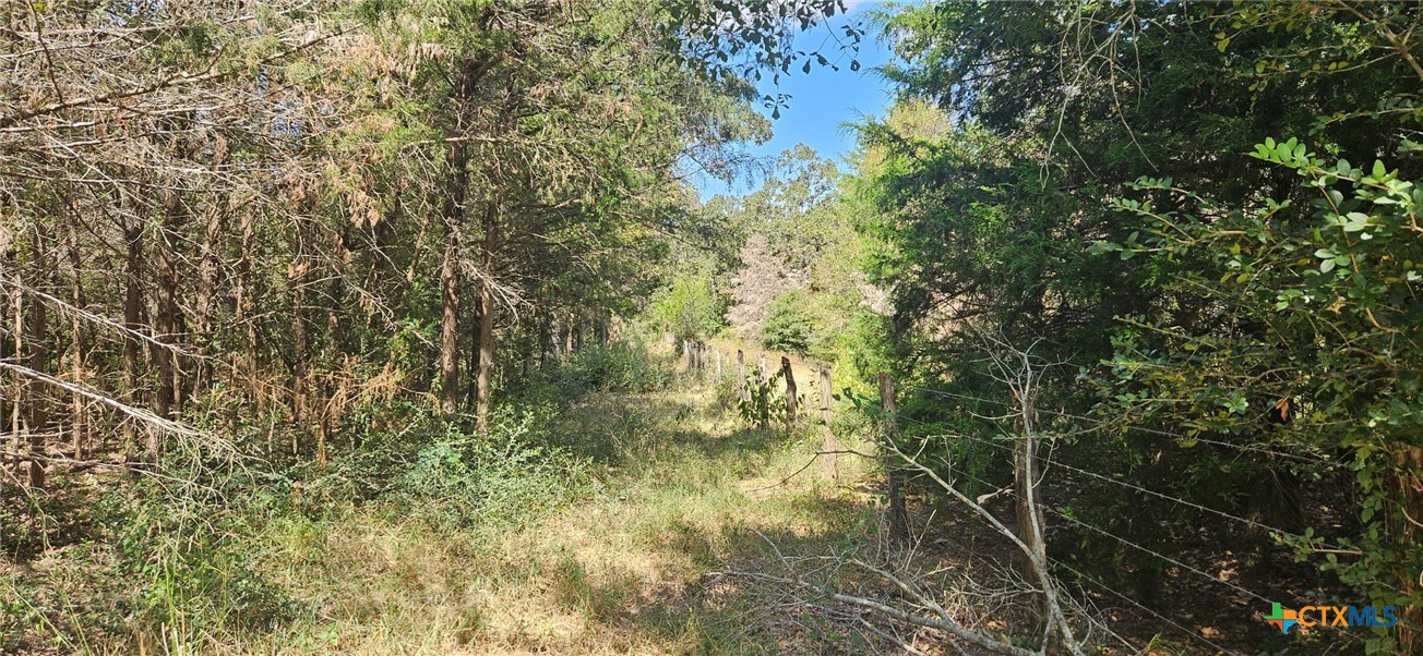 Tbd County Road 342 Property Photo 10