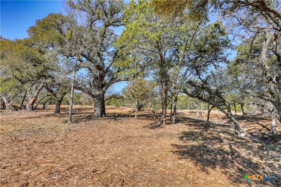 Lot 21 Burnet Oaks Drive Property Photo 2