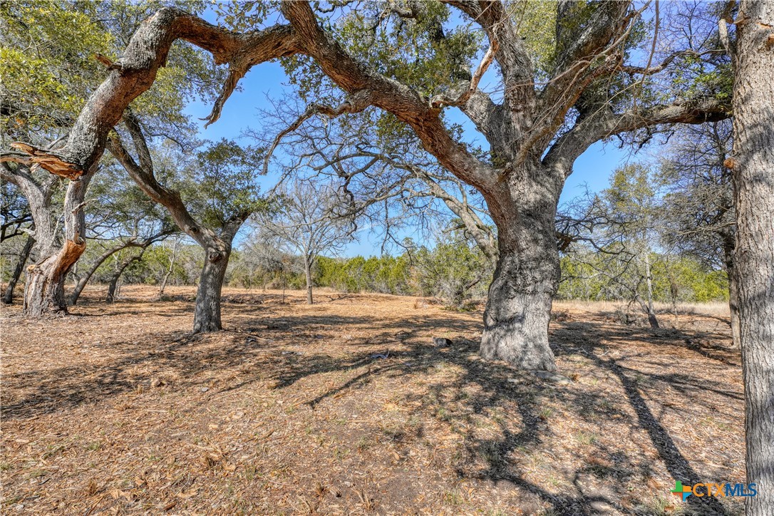 Lot 21 Burnet Oaks Drive Property Photo 3