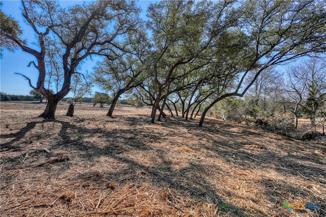 Lot 21 Burnet Oaks Drive Property Photo 4
