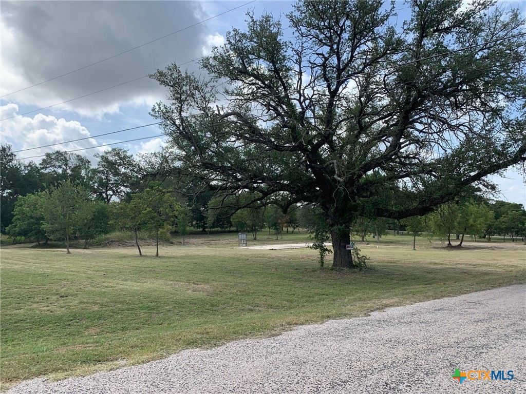 345 Cactus Circle Property Photo 4