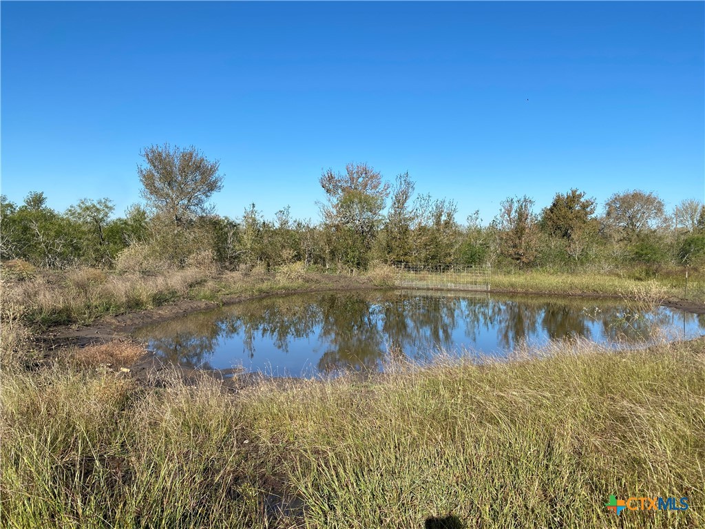 000 County Rd 407 Property Photo 5