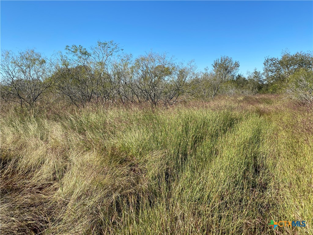 000 County Rd 407 Property Photo 16