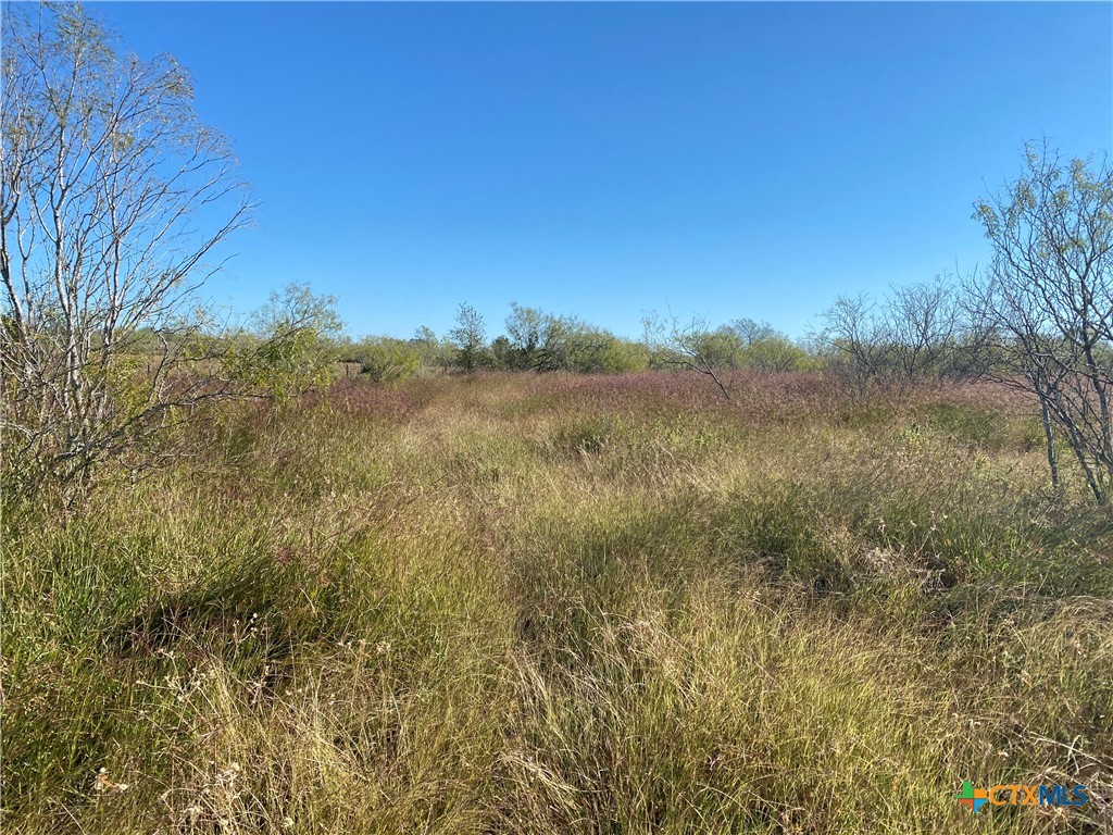 000 County Rd 407 Property Photo 20
