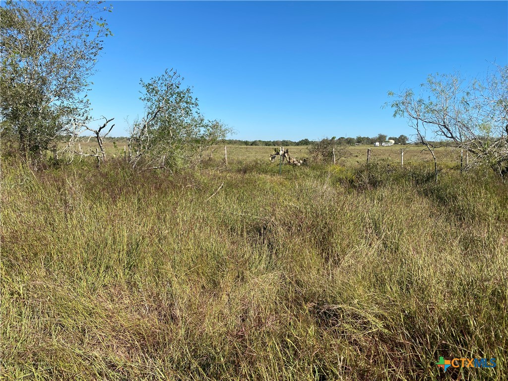 000 County Rd 407 Property Photo 26