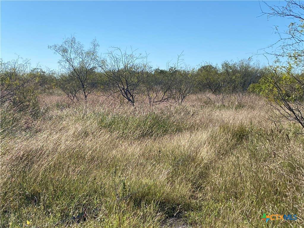 000 County Rd 407 Property Photo 33
