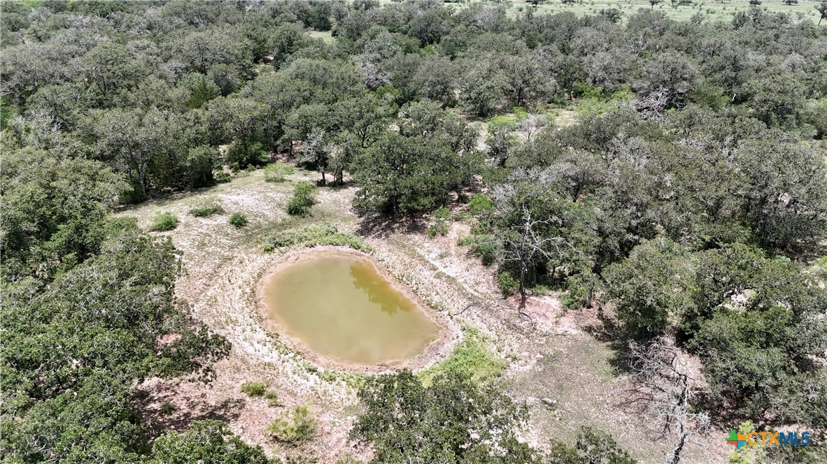 Tbd County Road 482 Property Photo 6