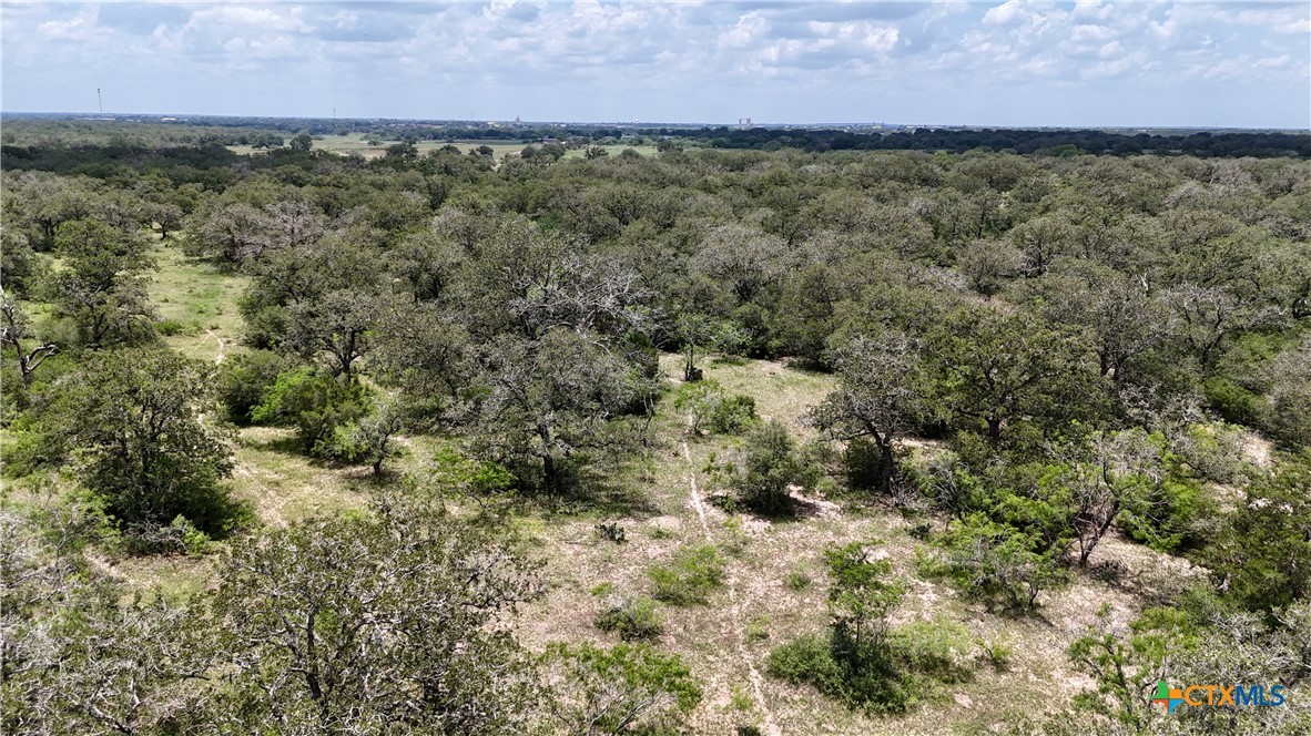 Tbd County Road 482 Property Photo 7