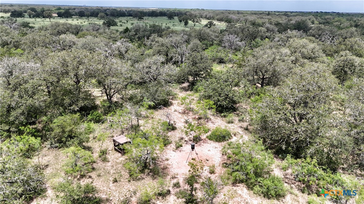 Tbd County Road 482 Property Photo 8
