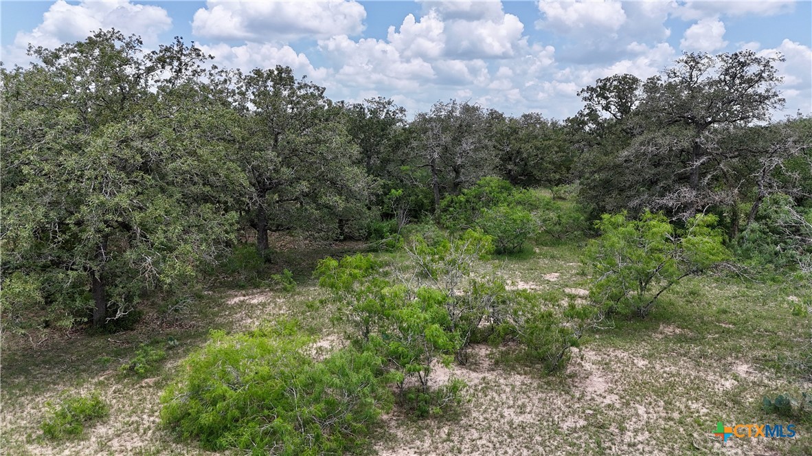Tbd County Road 482 Property Photo 10