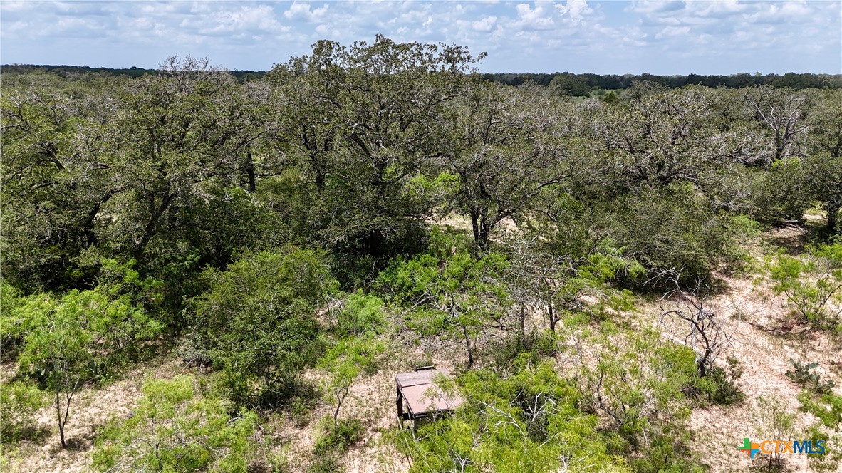 Tbd County Road 482 Property Photo 12