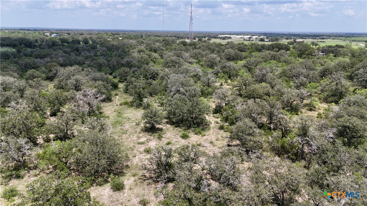 Tbd County Road 482 Property Photo 13