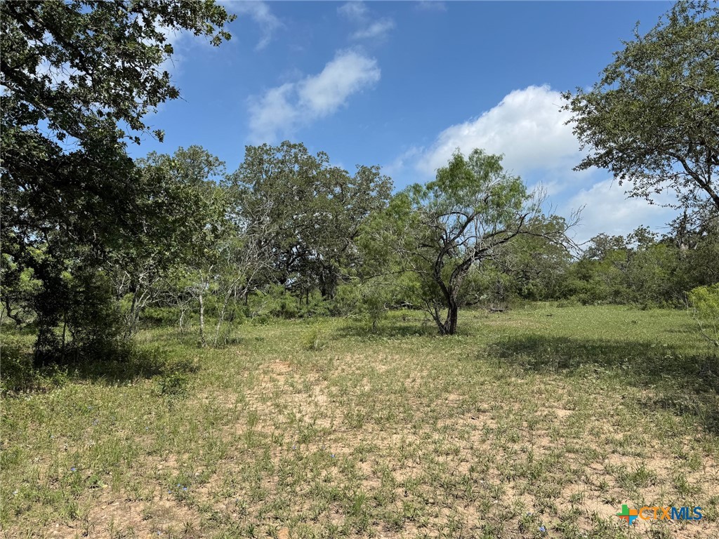 Tbd County Road 482 Property Photo 14