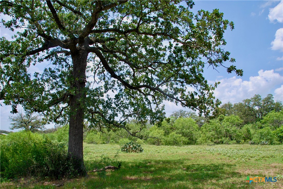 Tbd County Road 482 Property Photo 15