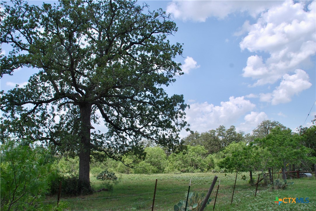 Tbd County Road 482 Property Photo 16