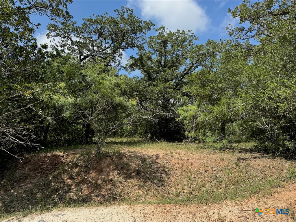 Tbd County Road 482 Property Photo 17