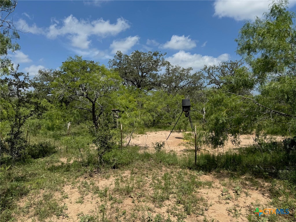 Tbd County Road 482 Property Photo 18