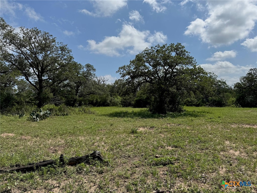 Tbd County Road 482 Property Photo 24