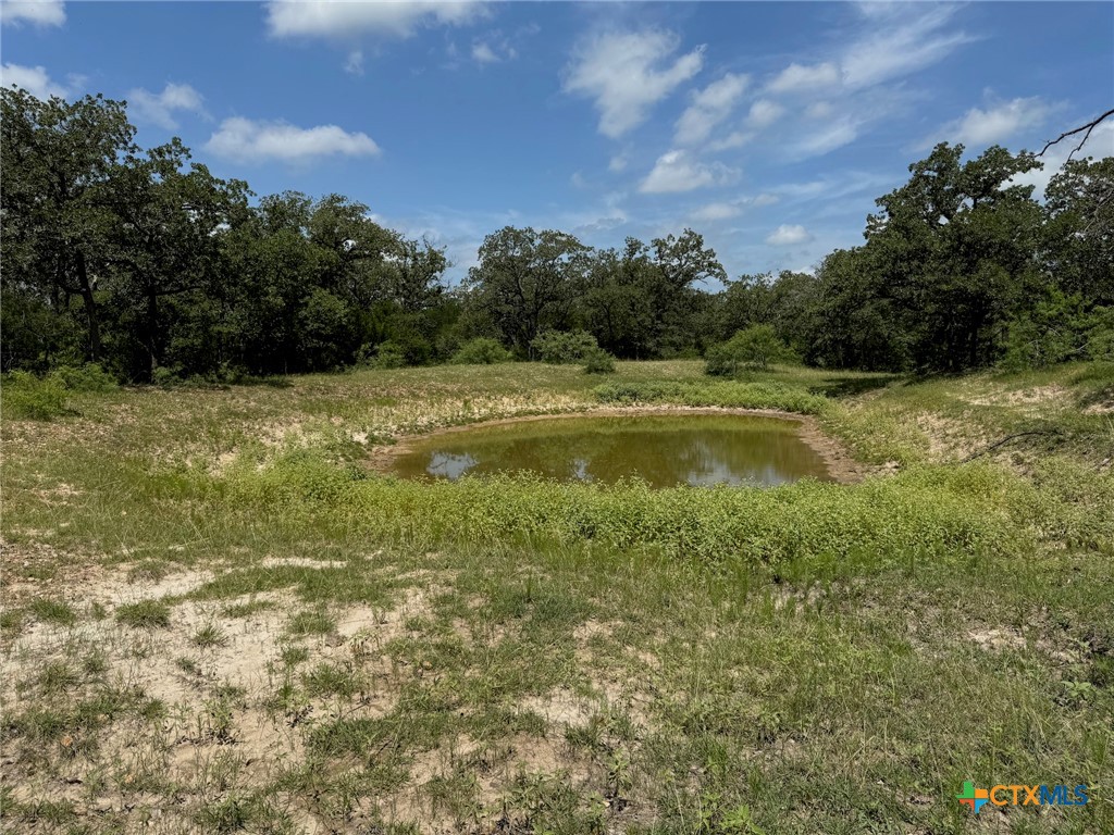 Tbd County Road 482 Property Photo 26