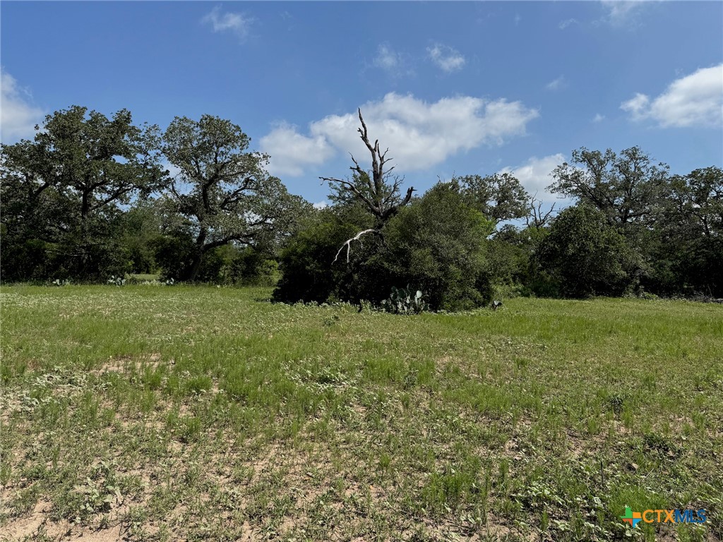 Tbd County Road 482 Property Photo 28