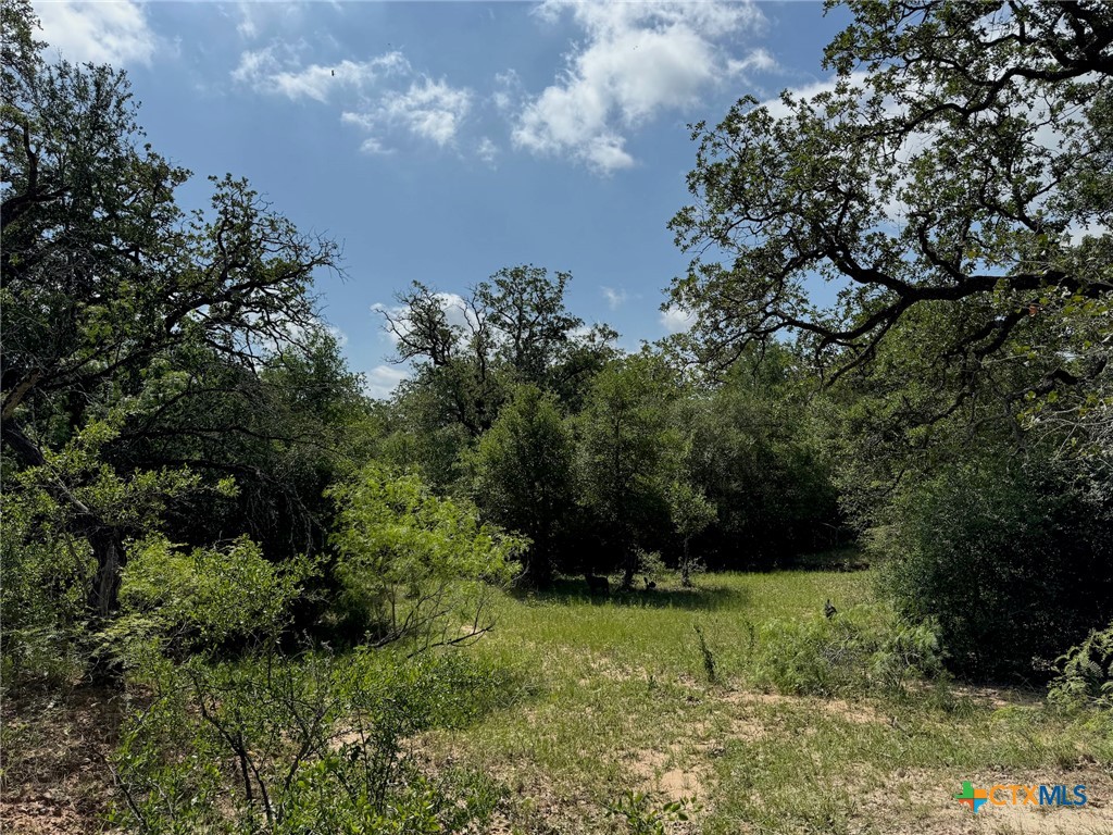 Tbd County Road 482 Property Photo 29