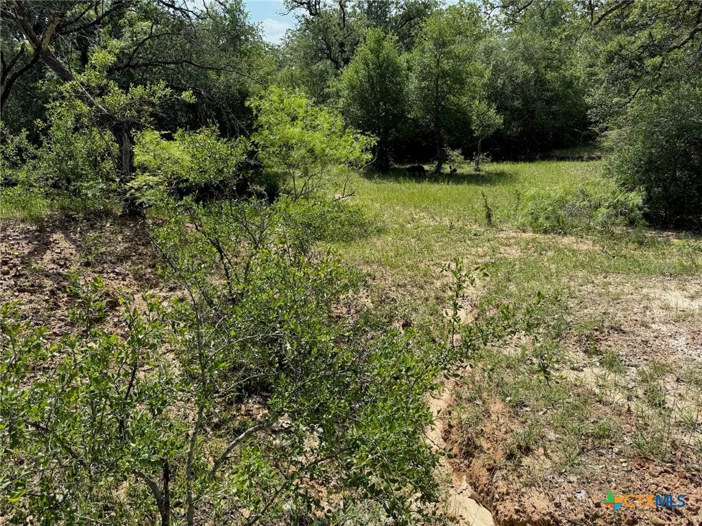 Tbd County Road 482 Property Photo 30