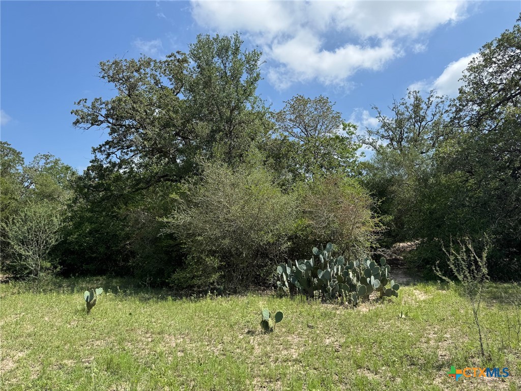 Tbd County Road 482 Property Photo 31