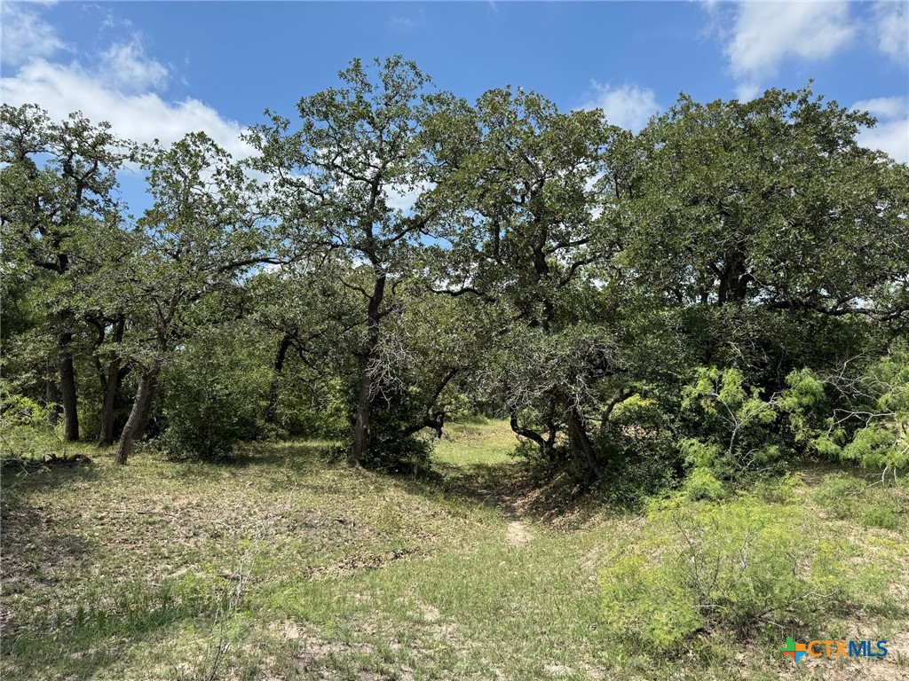 Tbd County Road 482 Property Photo 33