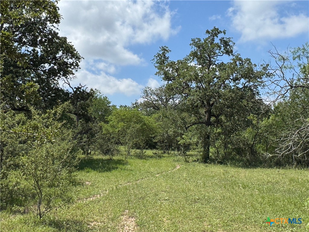 Tbd County Road 482 Property Photo 34