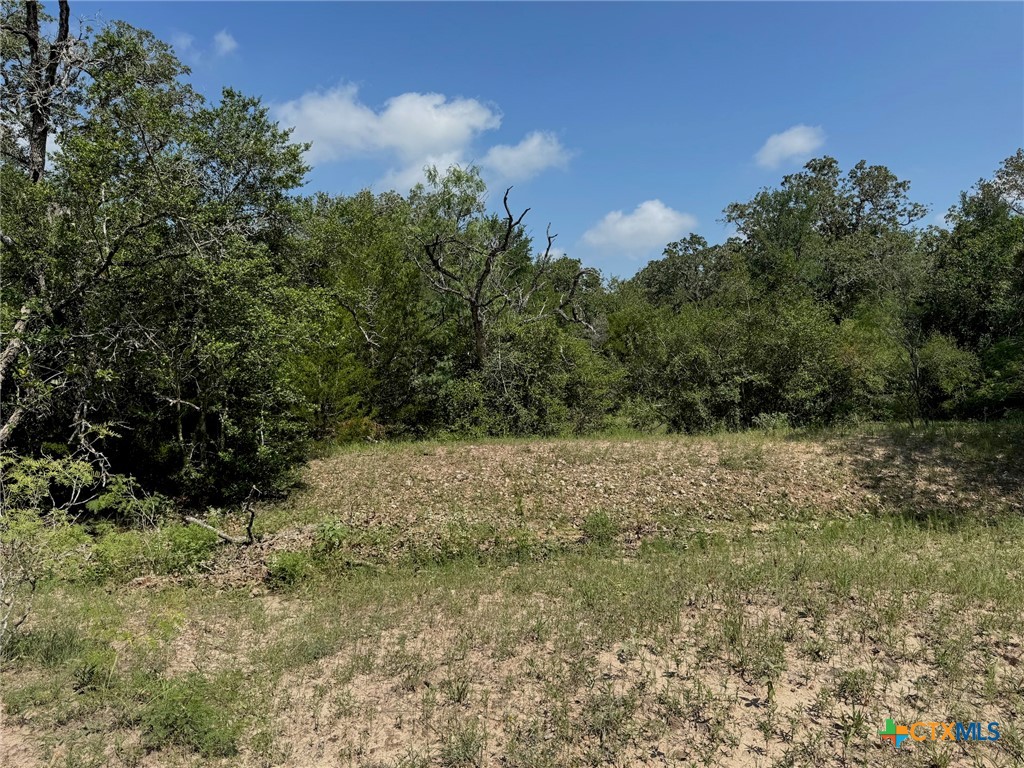 Tbd County Road 482 Property Photo 35