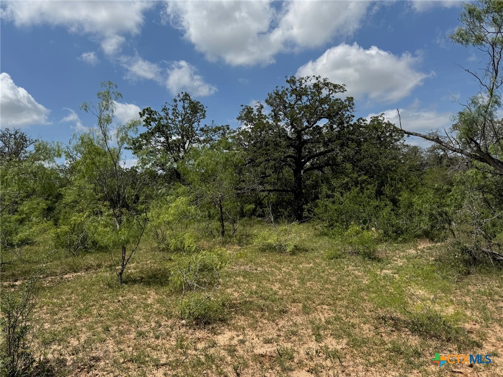 Tbd County Road 482 Property Photo 36