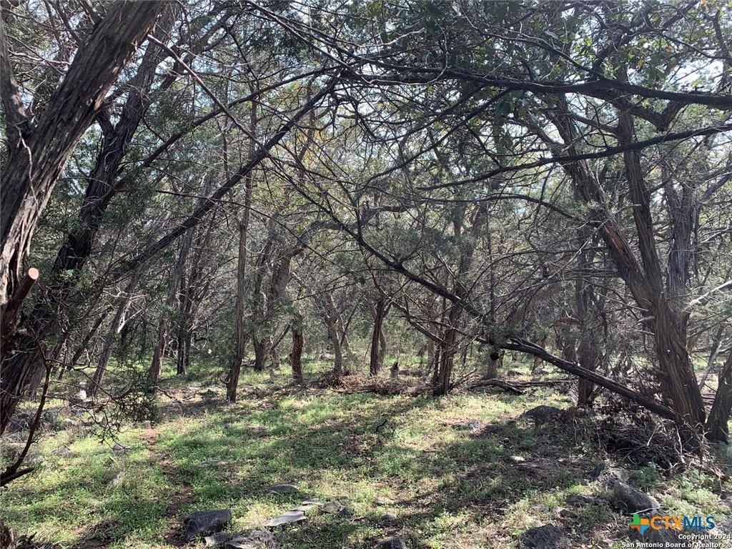 4224 Wegner Road Property Photo 3