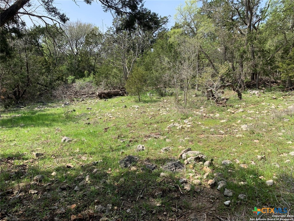 4224 Wegner Road Property Photo 4