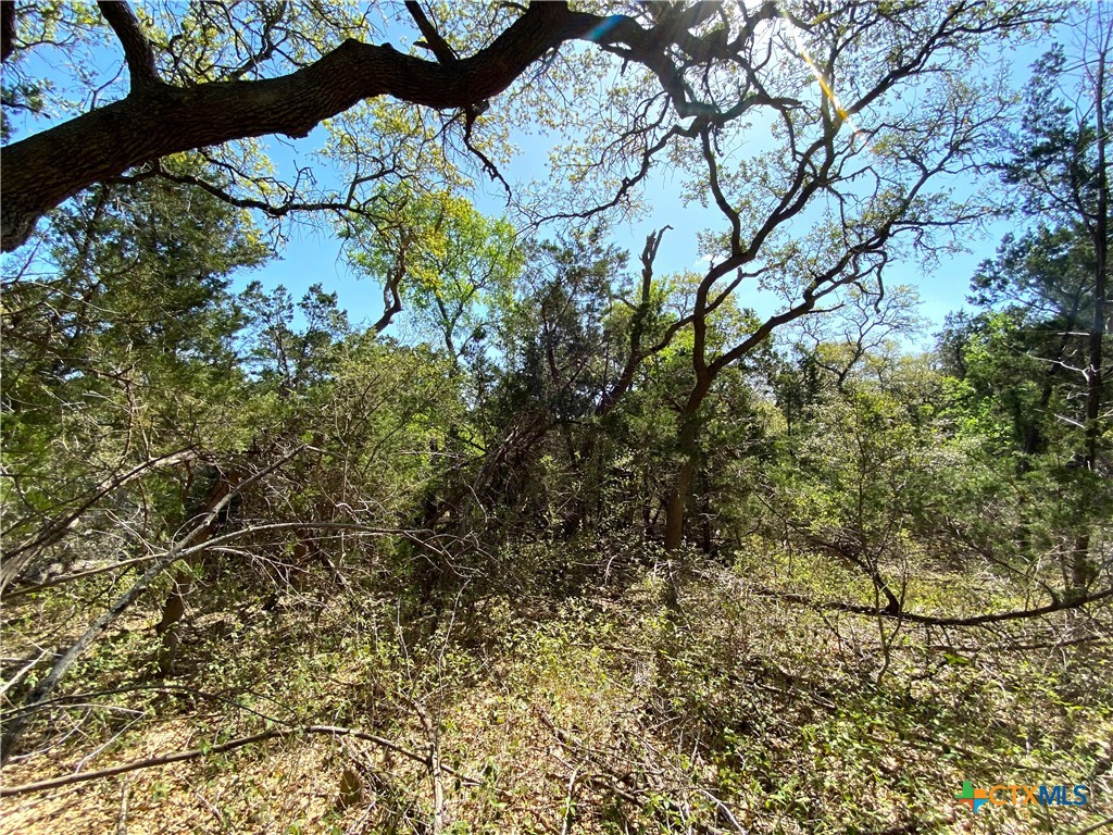 4224 Wegner Road Property Photo 6
