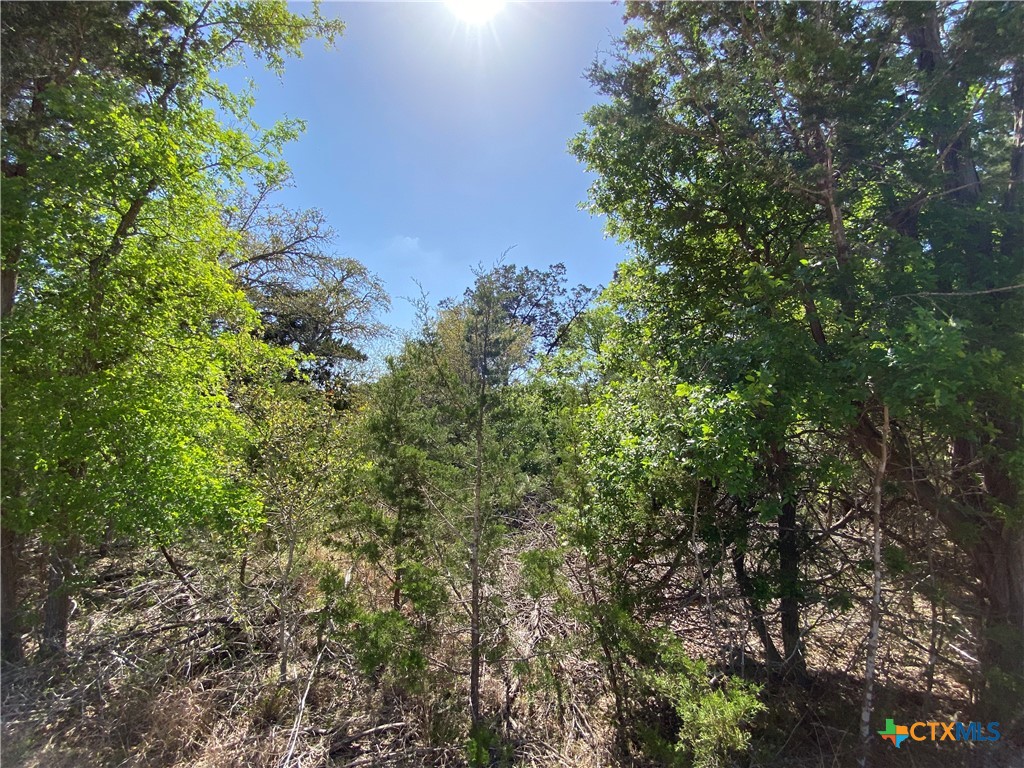 4224 Wegner Road Property Photo 8