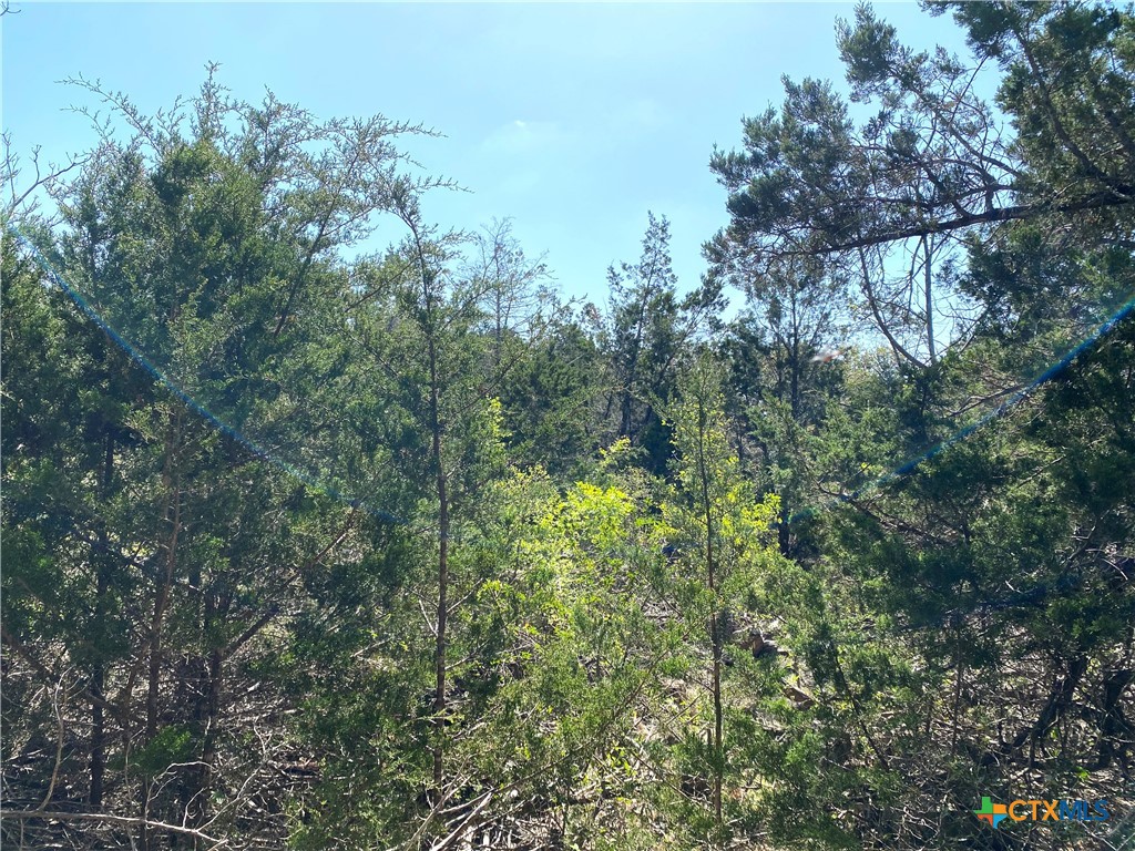 4224 Wegner Road Property Photo 10