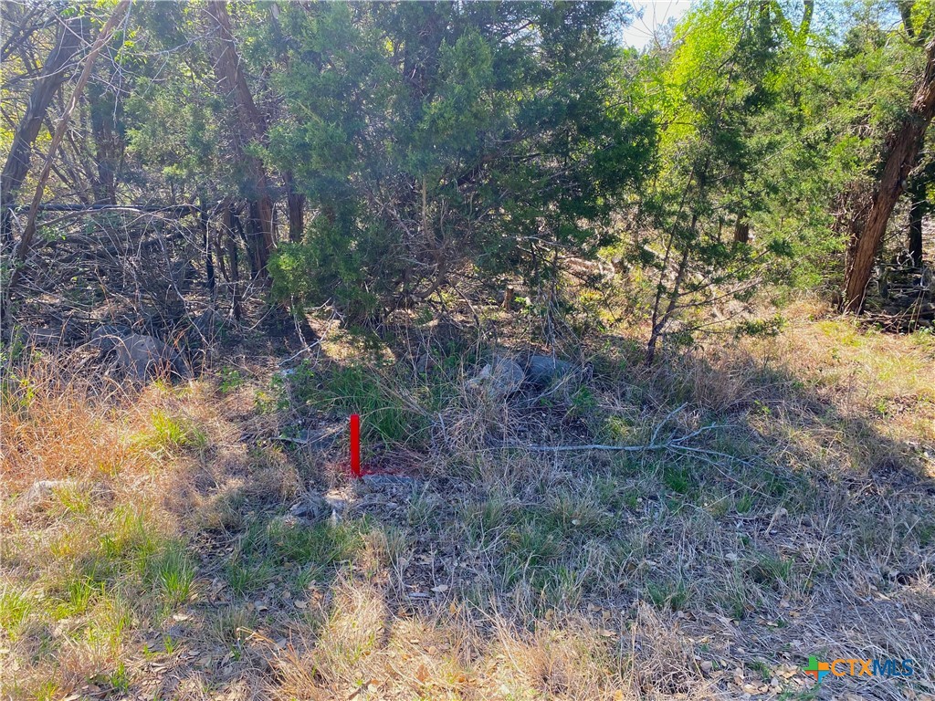 4224 Wegner Road Property Photo 11