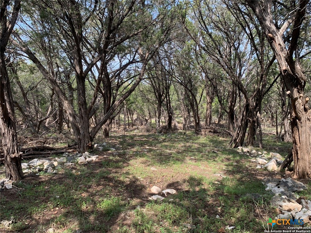 4224 Wegner Road Property Photo 14