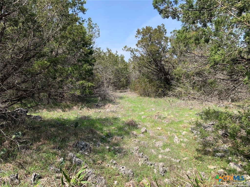 4224 Wegner Road Property Photo 15