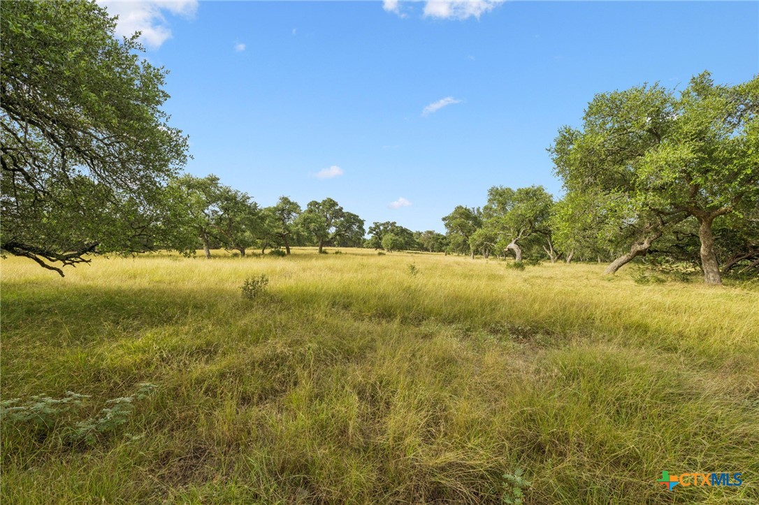 656 San Marcos Trl Property Photo 7
