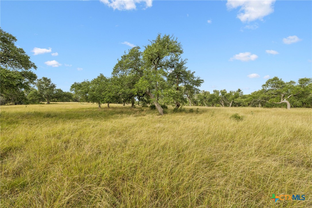 656 San Marcos Trl Property Photo 10